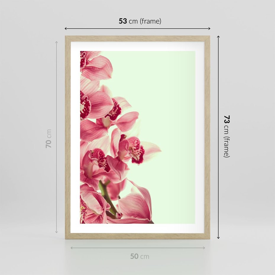 Plakat w ramie 50x70 - Orchidea - delikatne kwiaty - orchidea, kwiaty - rama drewno