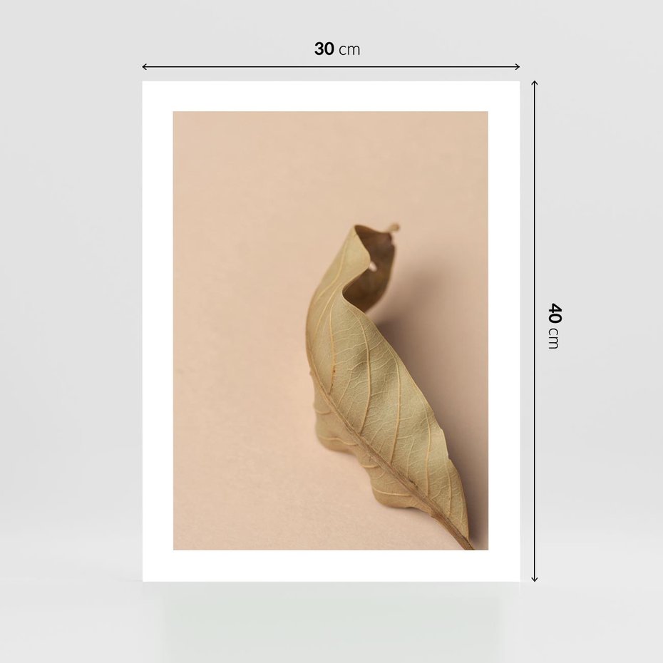 Plakat bez ramy 30x40 - Boho suszone liście - suszony, liść