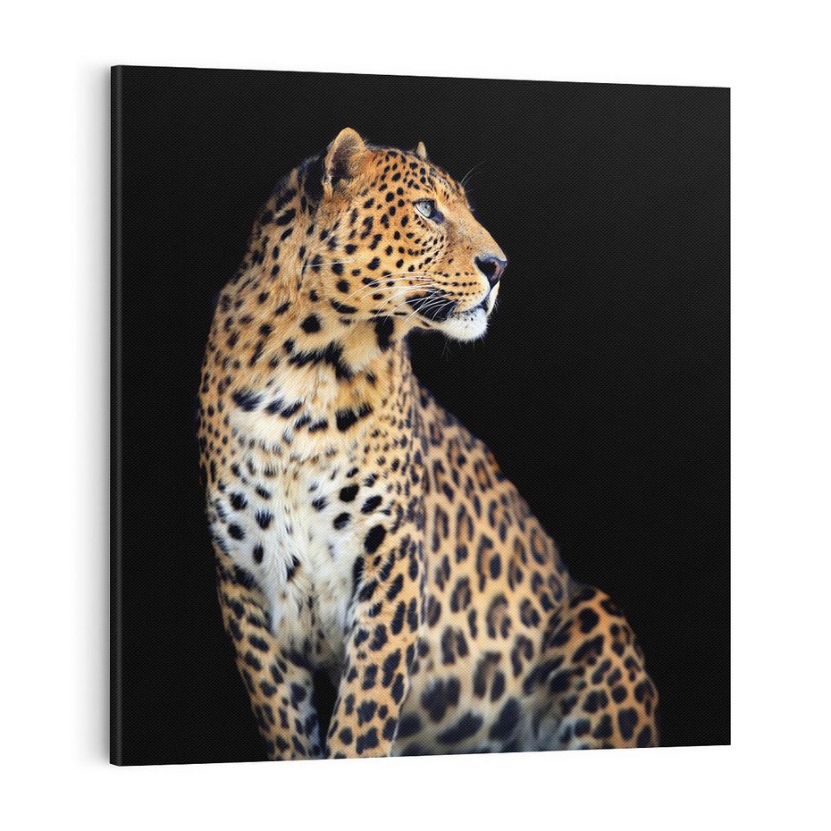 Obraz na płótnie 50x50 - Elegancja Jaguarowej Pantery - jaguar, pantera