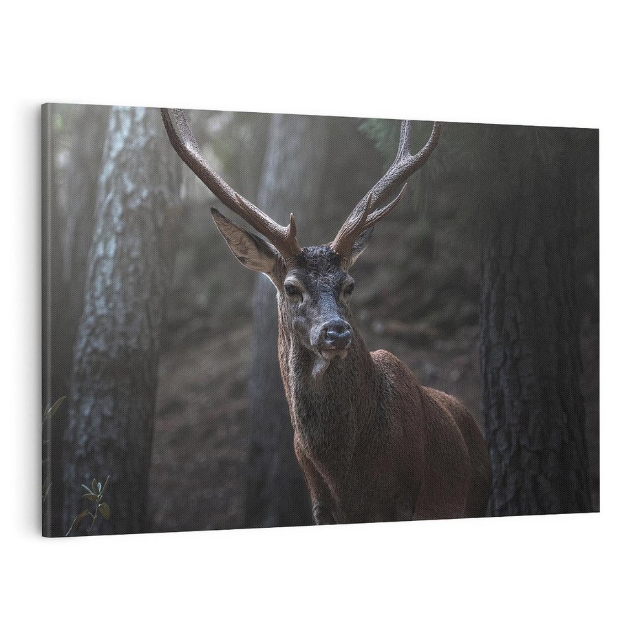 Obraz na płótnie 120x80 - Jeleń wśród lasu - jeleń, las