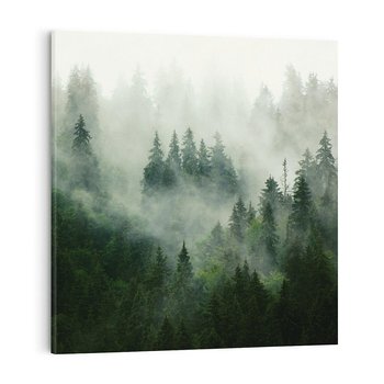 Obraz na płótnie 40x40 - Las Mgły - Las, we