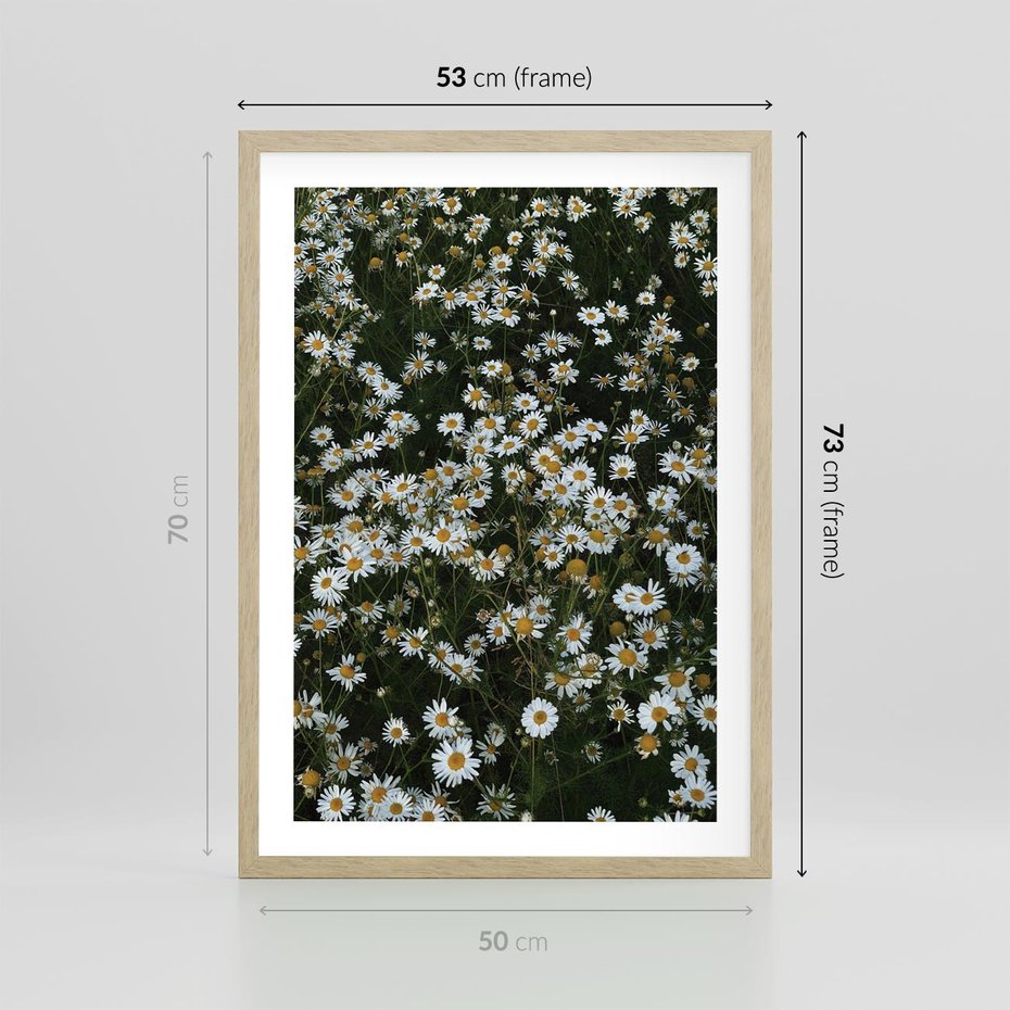 Plakat w ramie 50x70 - Stokrotkowa Idylla na Łące - łąka, stokrotki - rama drewno