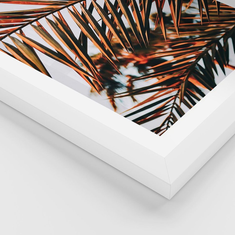 Plakat w ramie 50x70 - Tropikalna Harmonia - palma, liście palmy - rama biała