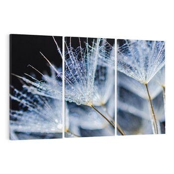 Obraz na płótnie 120x80 - Makro piękno dmuchawców - makro, dmuchawce