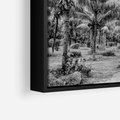 Obraz w ramie 50x50 - Mroczna Ścieżka Tropików - czarno biała fotografia, ścieżka pośród palm - rama czarna