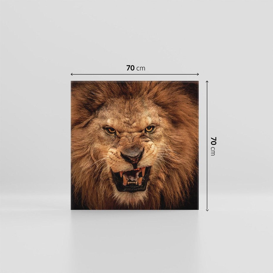 Obraz na płótnie 70x70 - Władca Sawanny - lew, sawanna
