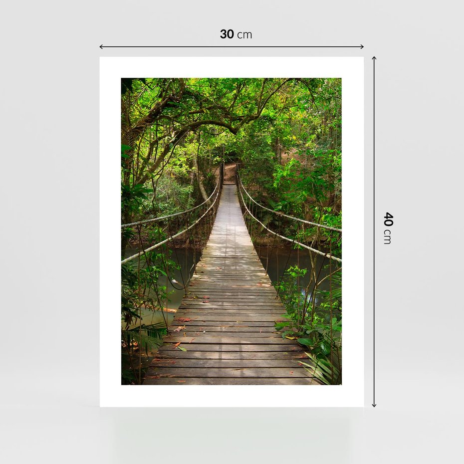 Plakat bez ramy 30x40 - Przez Dżunglę - most, linowy