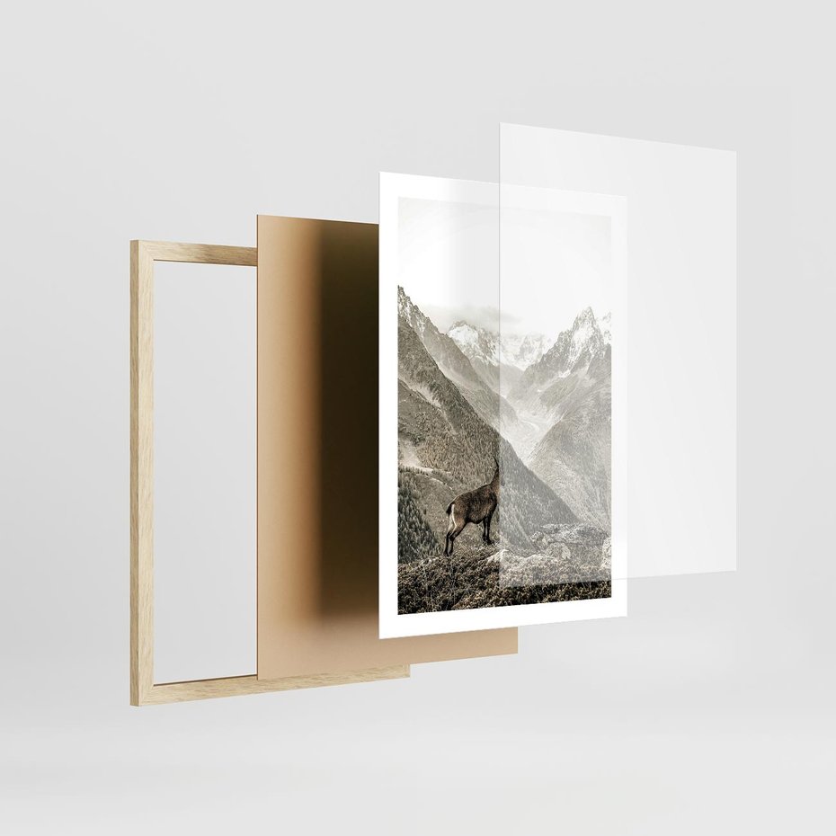 Plakat w ramie 50x70 - Dzikie Piękno: Kozica w Malowniczym Górskim Scenerii - kozica, góry - rama drewno