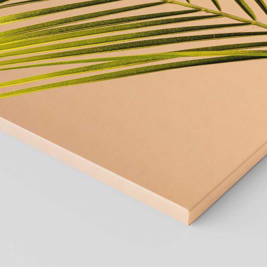 Obraz na płótnie 100x70 - Delikatne Piękno - palma, pastele