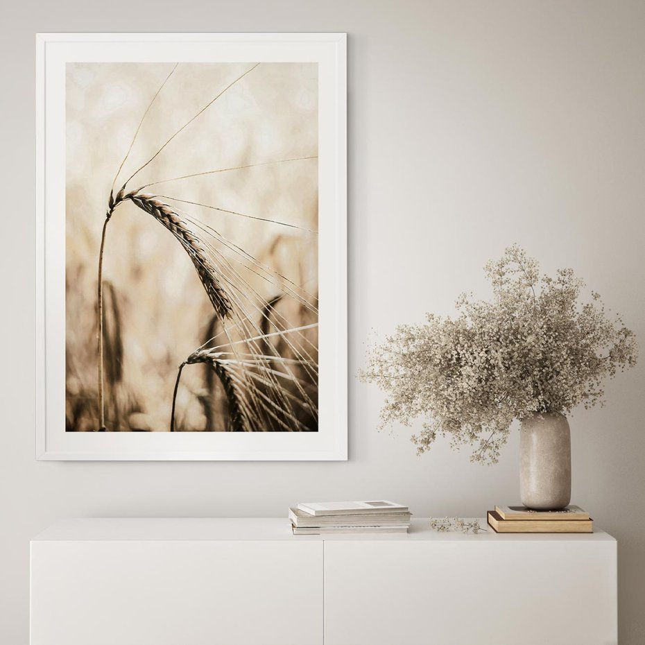 Plakat w ramie 30x40 - Źdźbło Pszenicy: Blisko Natury - źdźbło pszenicy, pszenica - rama biała