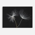 Obraz w ramie 100x70 - Delikatność Wiatru - dmuchawce, makro - rama czarna