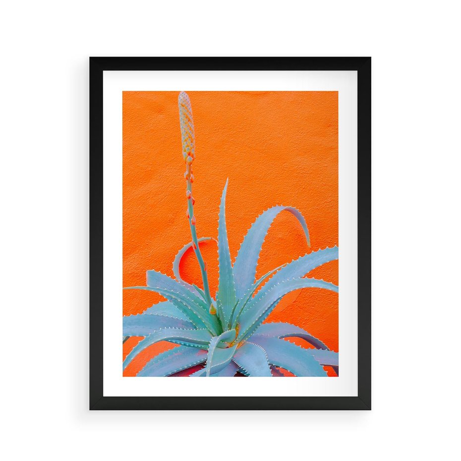 Plakat w ramie 40x50 - Naturalna Harmonia - kaktusy, liście - rama czarna