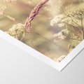 Plakat bez ramy 30x40 - Boho Wizja - suszone, trawy