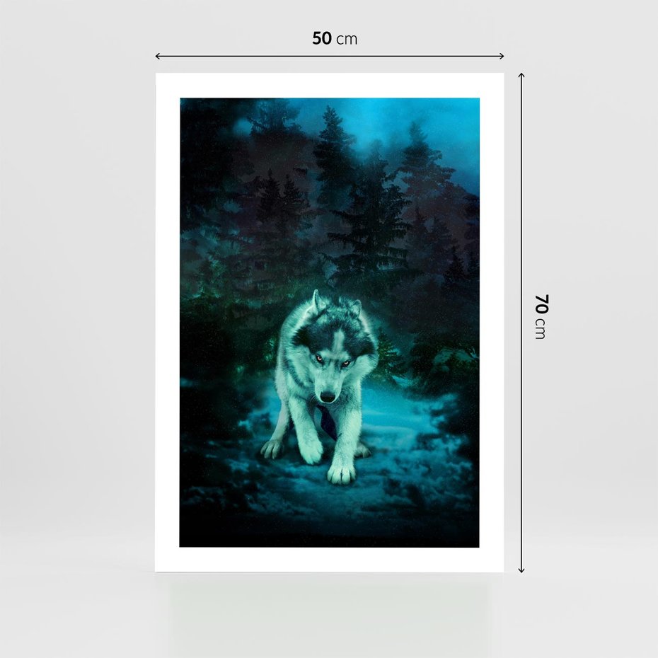 Plakat bez ramy 50x70 - Siła i wdzięk natury - wilk, husky