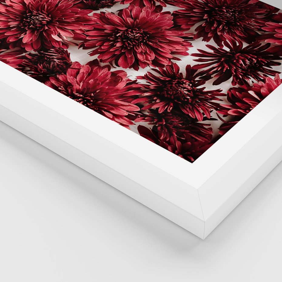 Plakat w ramie 40x50 - Energia Kwiatów - czerwone kwiaty, kompozycja - rama biała