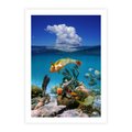 Plakat bez ramy 21x30 - Podwodna rafa koralowa: kolorowy oceanowy świat - rafa, koralowa