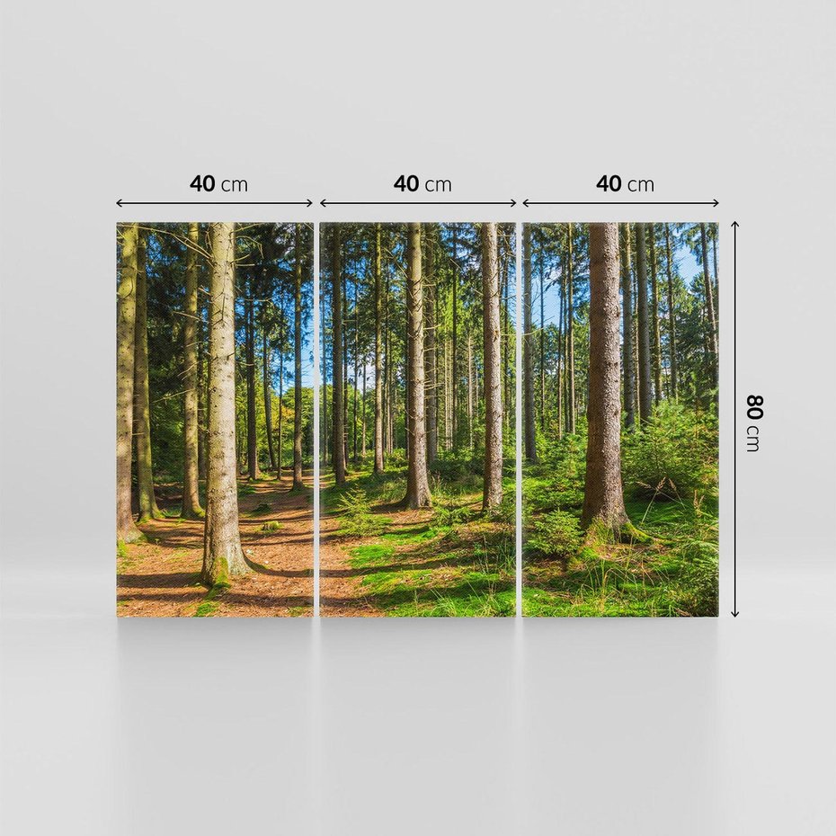 Obraz na płótnie 120x80 - Mistyfikacje lasu - las, drzewa