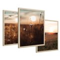 Zestaw obrazy w ramie 50x70 galeria - Zachód, słońca, łąka, kwiaty - rama drewno