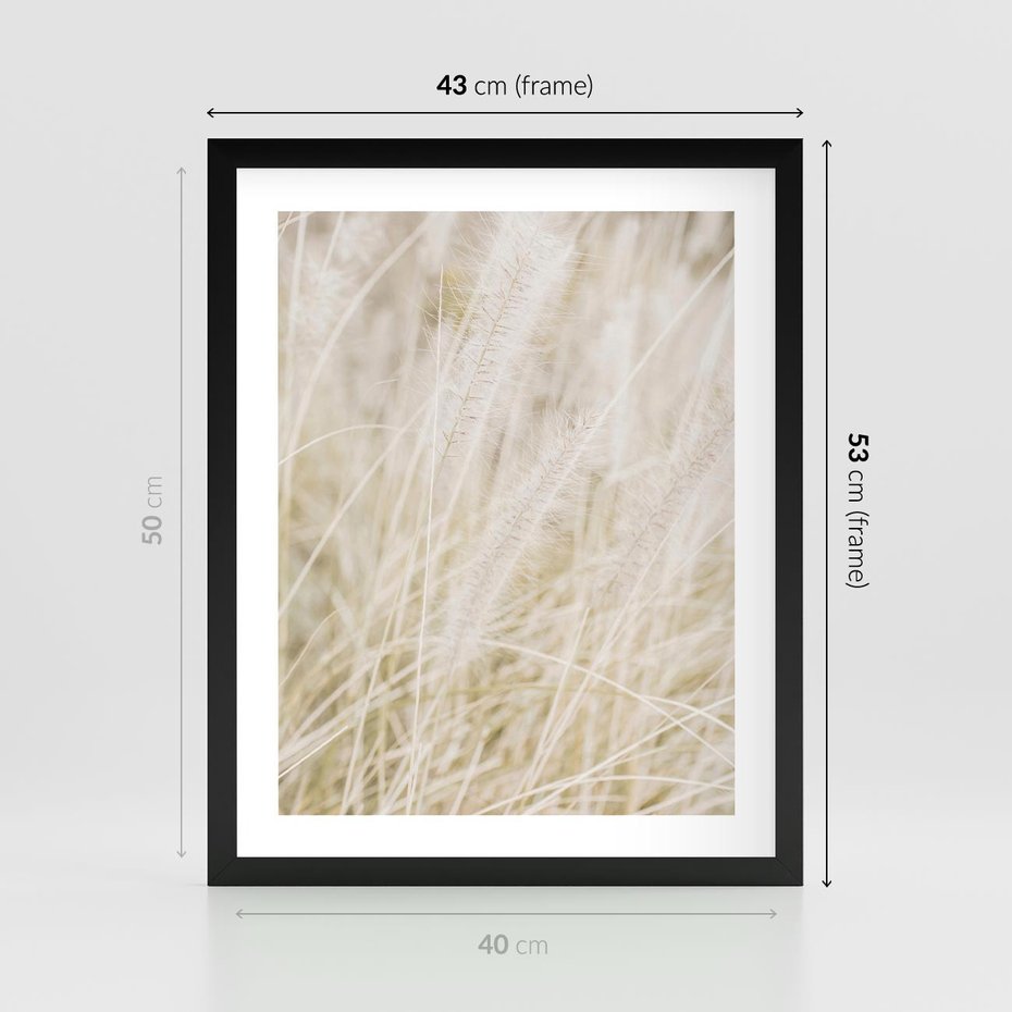 Plakat w ramie 40x50 - Białe Trawy Pampas - suche trawy, białe trawy - rama czarna