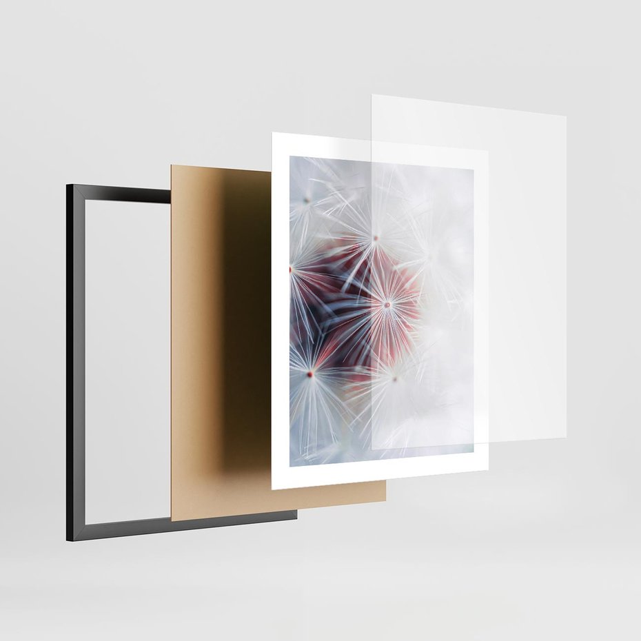 Plakat w ramie 40x50 - Minimalistyczna Delikatność - zbliżenie, dmuchawce - rama czarna