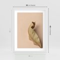 Plakat w ramie 30x40 - Boho suszone liście - suszony, liść - rama biała