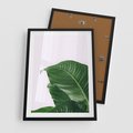Plakat w ramie 50x70 - Zielone liście monstery - liście, monstera - rama czarna