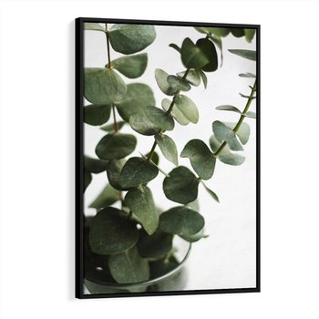 Obraz w ramie 50x70 - Zielone eukaliptusy - eukaliptus, liście - rama czarna