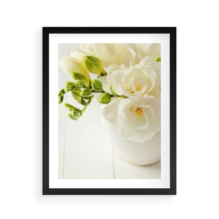 Plakat w ramie 40x50 - Subtelność białych frezji - frezja, białe - rama czarna