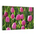 Obraz na płótnie 120x80 - Tulipanowa harmonia - tulipany, kwiaty