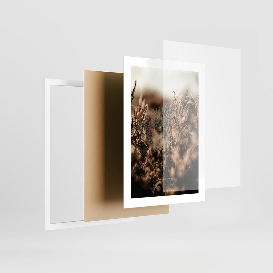 Plakat w ramie 30x40 - Jesienny Mikrokosmos - suchetrawy, jesienny klimat - rama biała