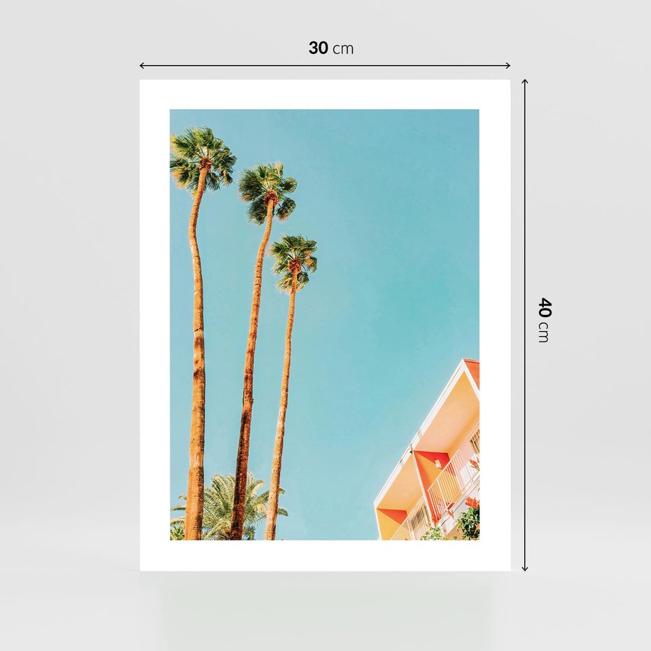 Plakat bez ramy 30x40 - Letnie Marzenia - palmy, na tle nieba