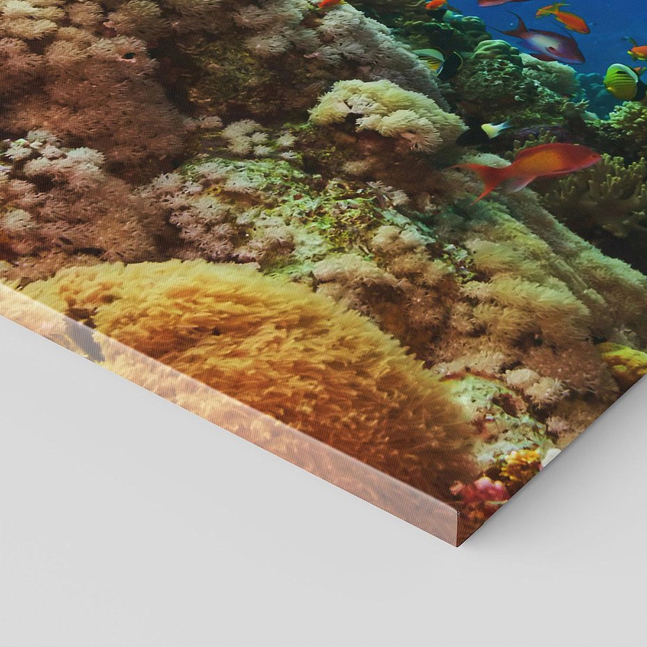 Obraz na płótnie 150x50 - Podwodne królestwo rafy koralowej - rafa, koralowa
