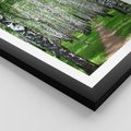 Plakat w ramie 30x40 - Magia lasu pełnego brzóz - las, brzozy - rama czarna
