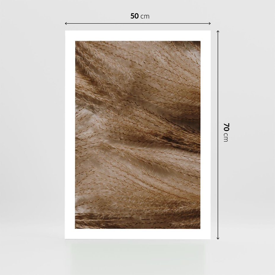 Plakat bez ramy 50x70 - Pampasowy Brąz - suche trawy, trawa pampasowa
