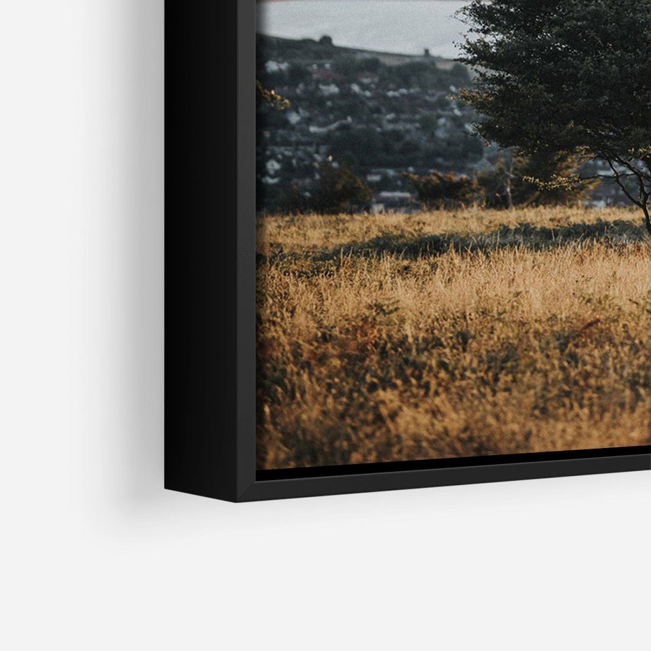 Obraz w ramie 70x100 - Siła Natury - drzewo, pejzaż - rama czarna