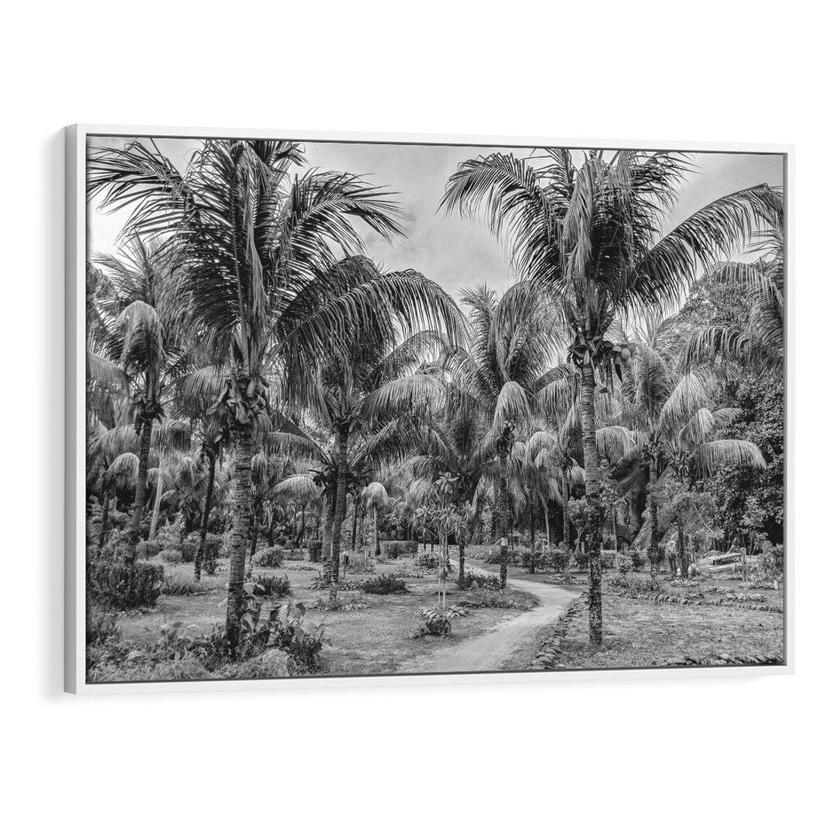 Obraz w ramie 70x50 - Mroczna Ścieżka Tropików - czarno biała fotografia, ścieżka pośród palm - rama biała