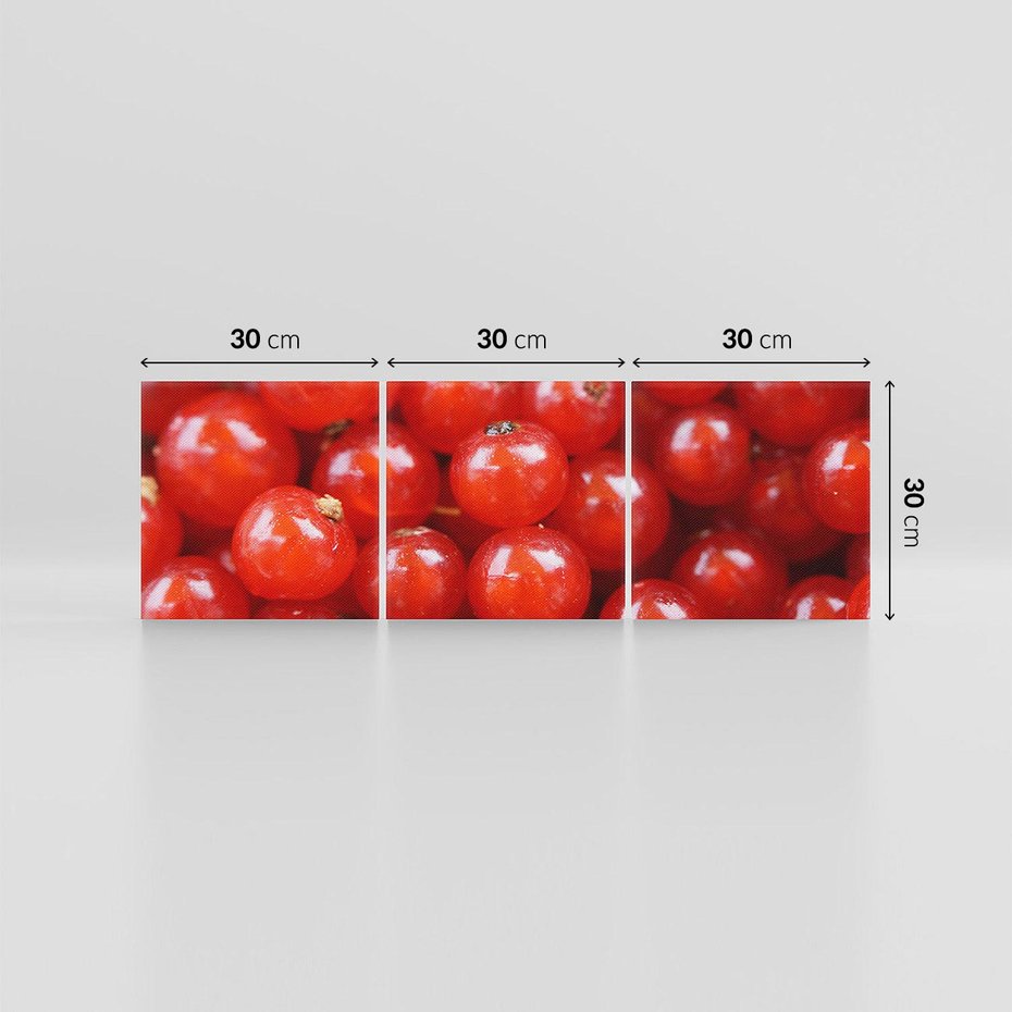 Obraz na płótnie 90x30 - Pożeczka - Czerwony Skarb - pożeczka, owoc