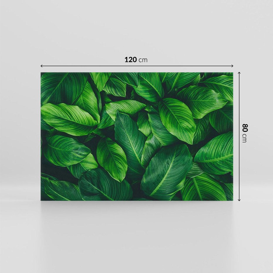 Obraz na płótnie 120x80 - Palma Liście Kwiat - palma, liście