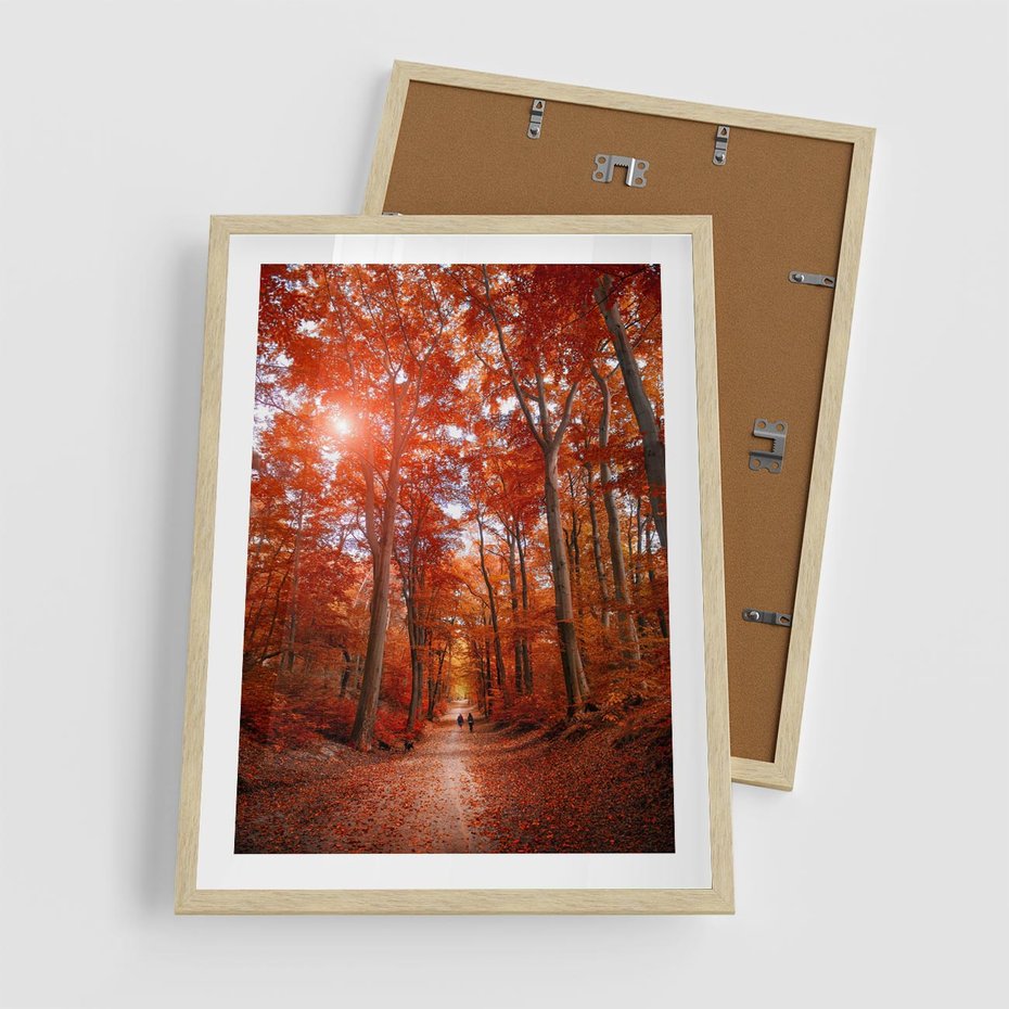 Plakat w ramie 50x70 - Magia jesiennego lasu - las, jesień - rama drewno