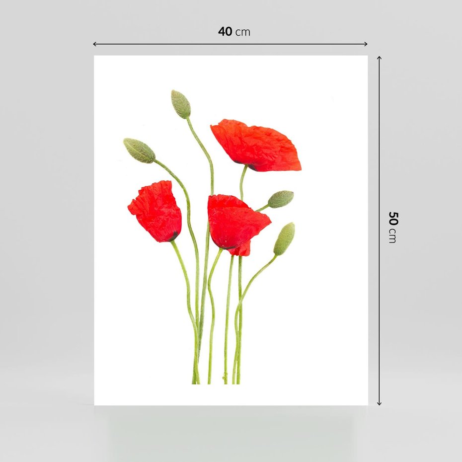 Plakat bez ramy 40x50 - Pola maków w pełnym kolorze - maki, kwiaty