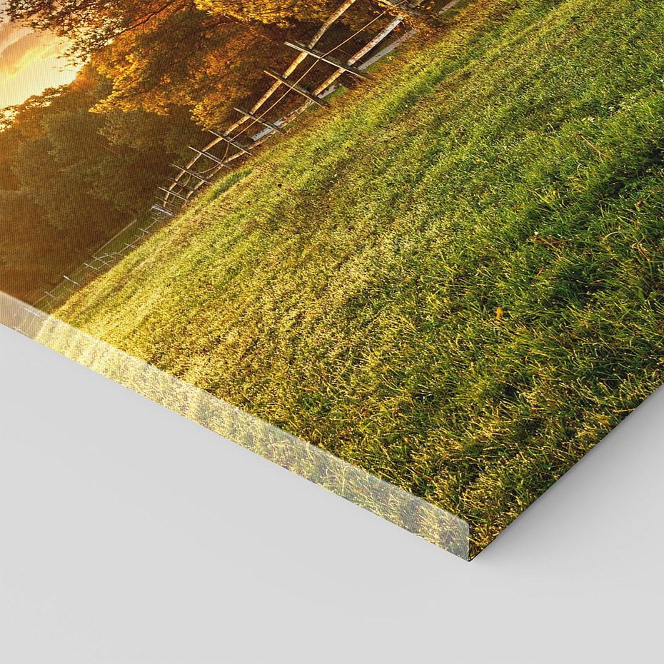 Obraz na płótnie 80x120 - Urok zachodu słońca na łące z drzewami - łąka, zachód