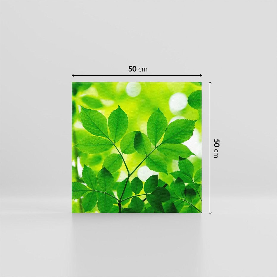 Obraz na płótnie 50x50 - Magia liści - liście, drzewo