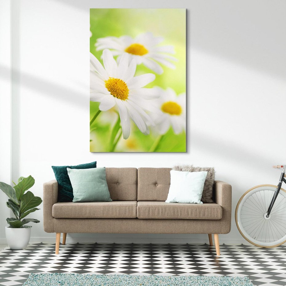 Obraz na płótnie 70x100 - Stokrotka: delikatność natury - stokrotka, kwiat