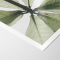 Plakat bez ramy 30x40 - Jasna Zieleń w Makro - makro zdjęcie liści, jasna zieleń
