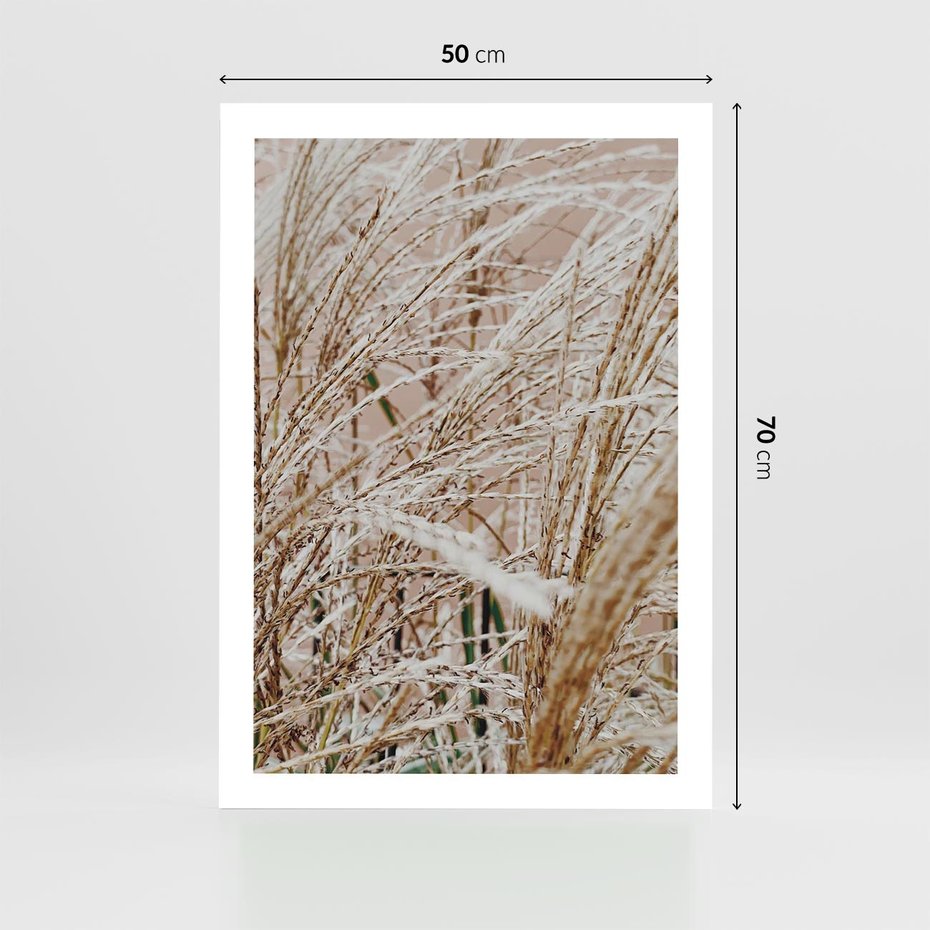 Plakat bez ramy 50x70 - Beżowa Trawa - suche trawy, zbliżenie