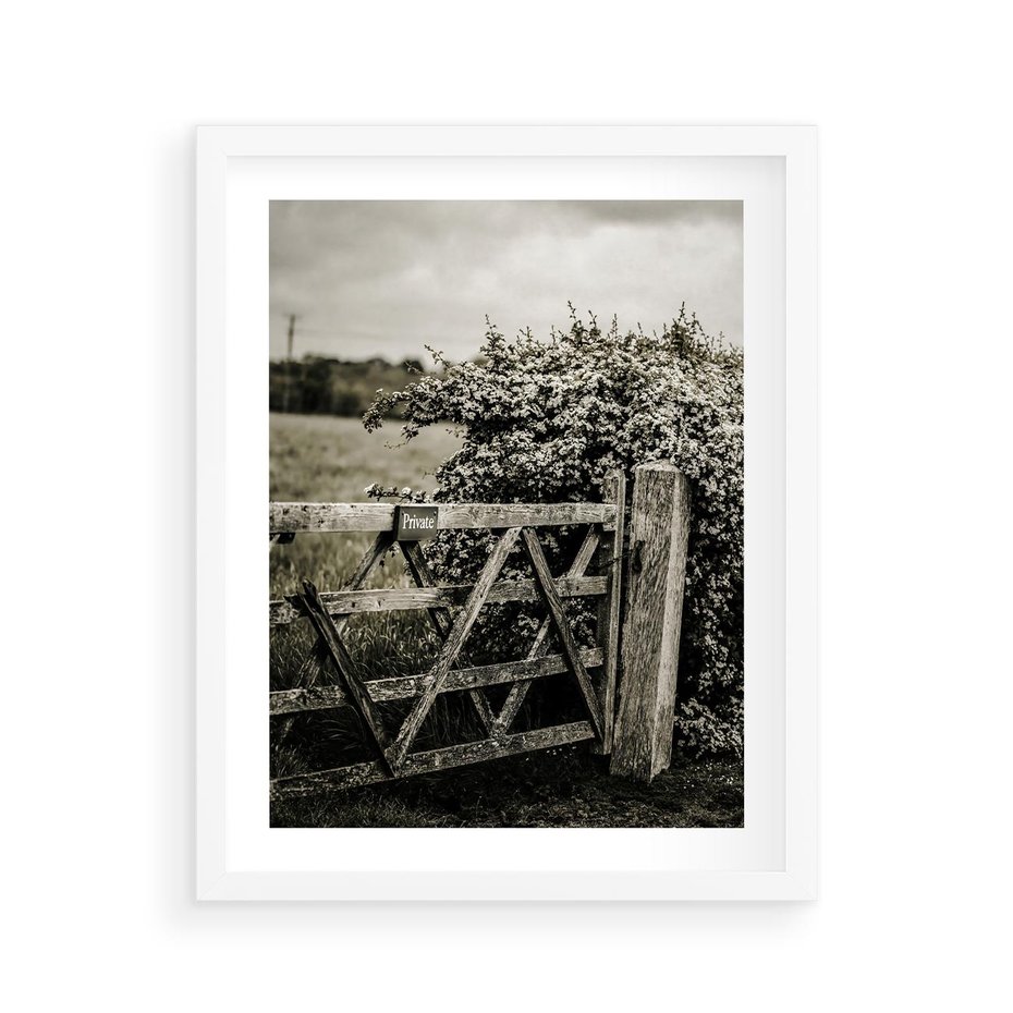 Plakat w ramie 40x50 - Wiejski Urok: Stary Płot i Kwitnący Krzew - rustykalne zdjęcie, stary płot - rama biała