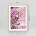 Plakat w ramie 50x70 - Majestat lawendy: fioletowe pola - lawenda, fiolet - rama drewno