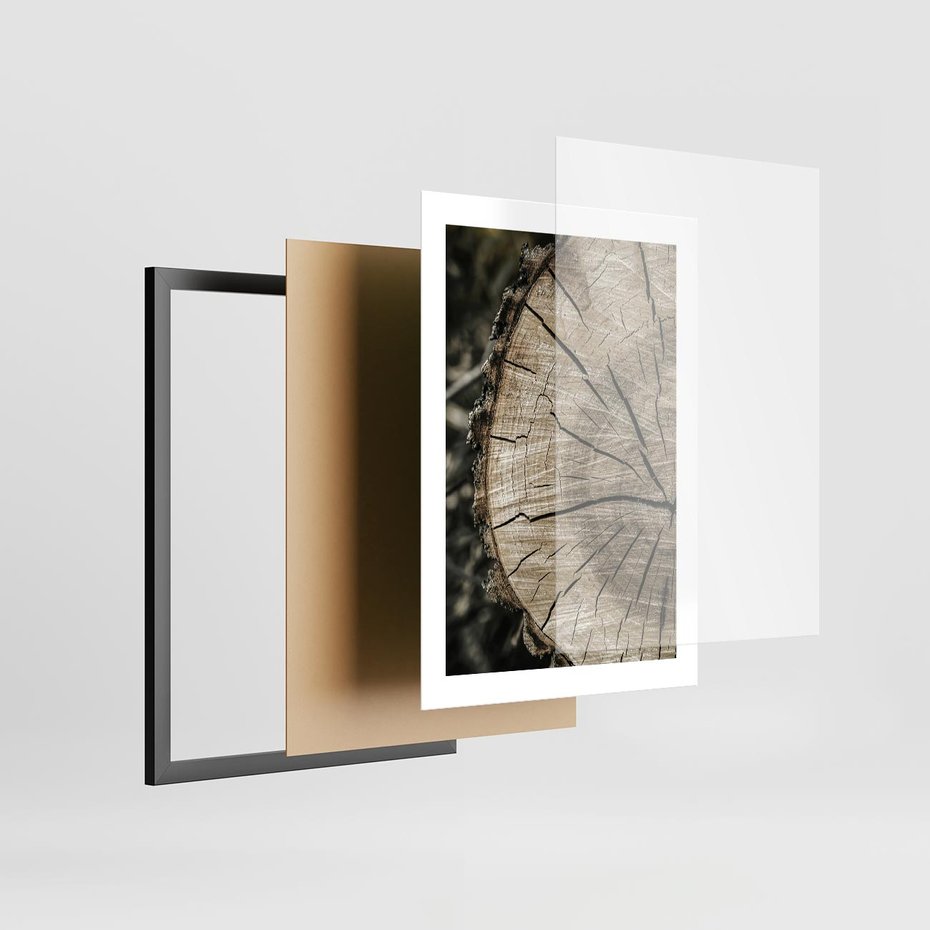 Plakat w ramie 30x40 - Wnętrze Natury - pień, przecięty pień - rama czarna