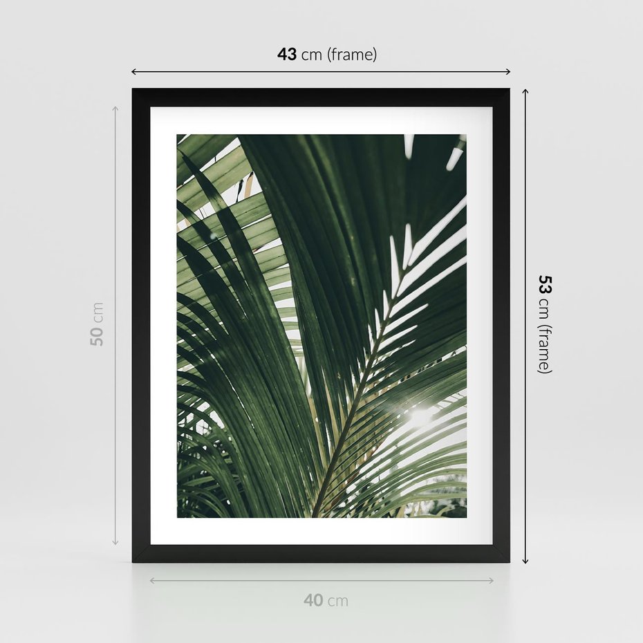 Plakat w ramie 40x50 - Tropikalne Uroki: Palmy i Zielone Liście - palmy, zielone liście - rama czarna