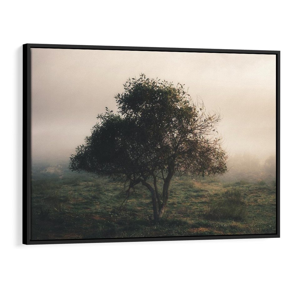 Obraz w ramie 70x50 - Zamglona Prostota - artystyczna fotografia, samotne drzewo na zamglonej łące - rama czarna